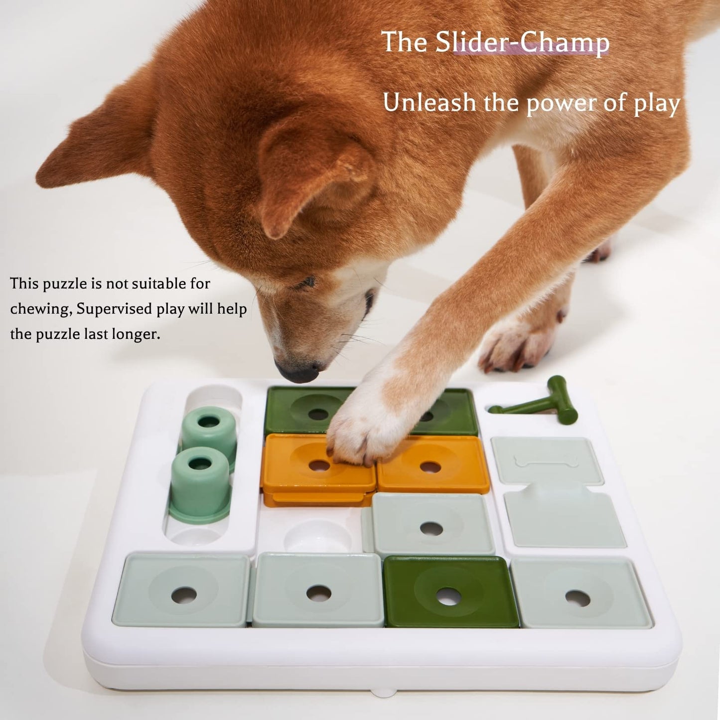Smart Dog Puzzle