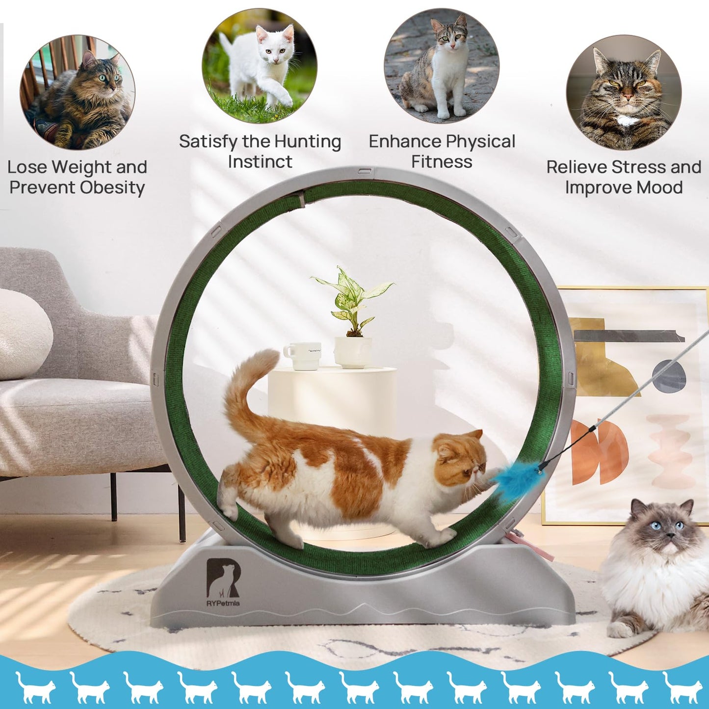 Cat Exercise Wheel 31.5"