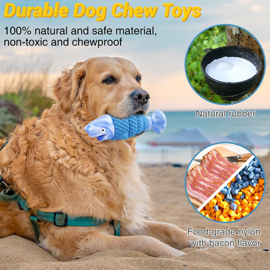 dog plus